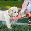 imageDog Water Bottle for Walking Multifunctional and Portable Dog Travel Water Dispenser with Food ContainerDetachable Design Combo Cup for Drinking and EatingSuitable for Cats and Puppy Pink